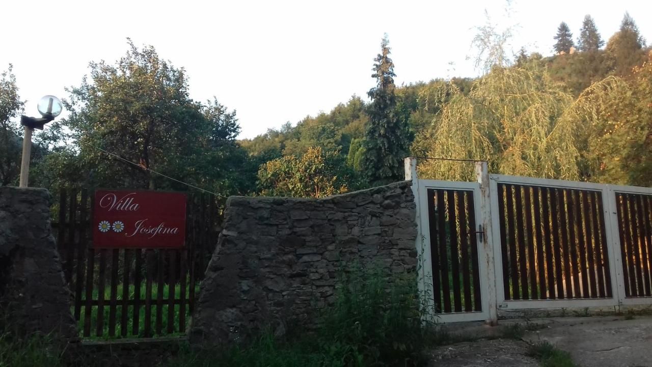 Проживание в семье Villa Iosefina Săcărîmbu-4
