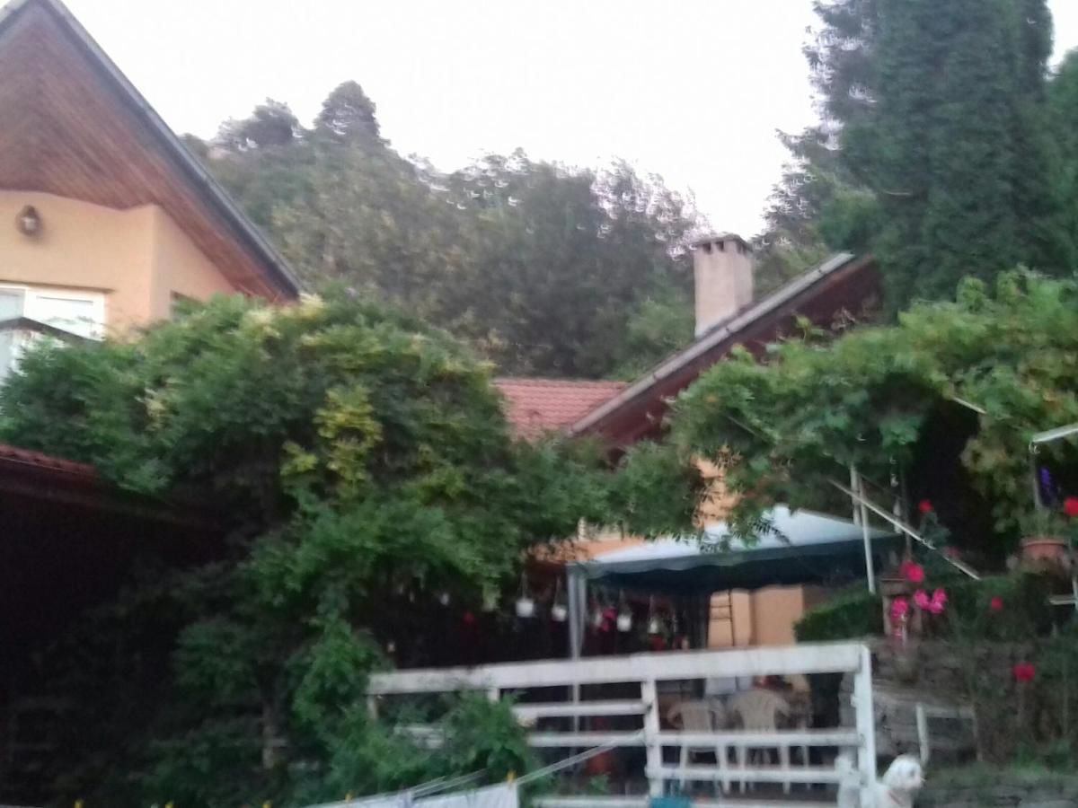 Проживание в семье Villa Iosefina Săcărîmbu-22