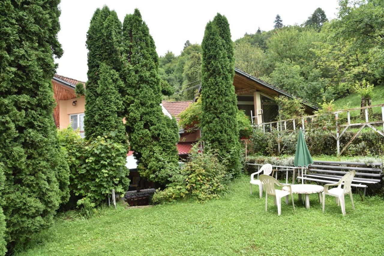 Проживание в семье Villa Iosefina Săcărîmbu-30