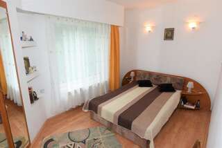 Проживание в семье Villa Iosefina Săcărîmbu Стандартный двухместный номер с 1 кроватью и общей ванной комнатой-7